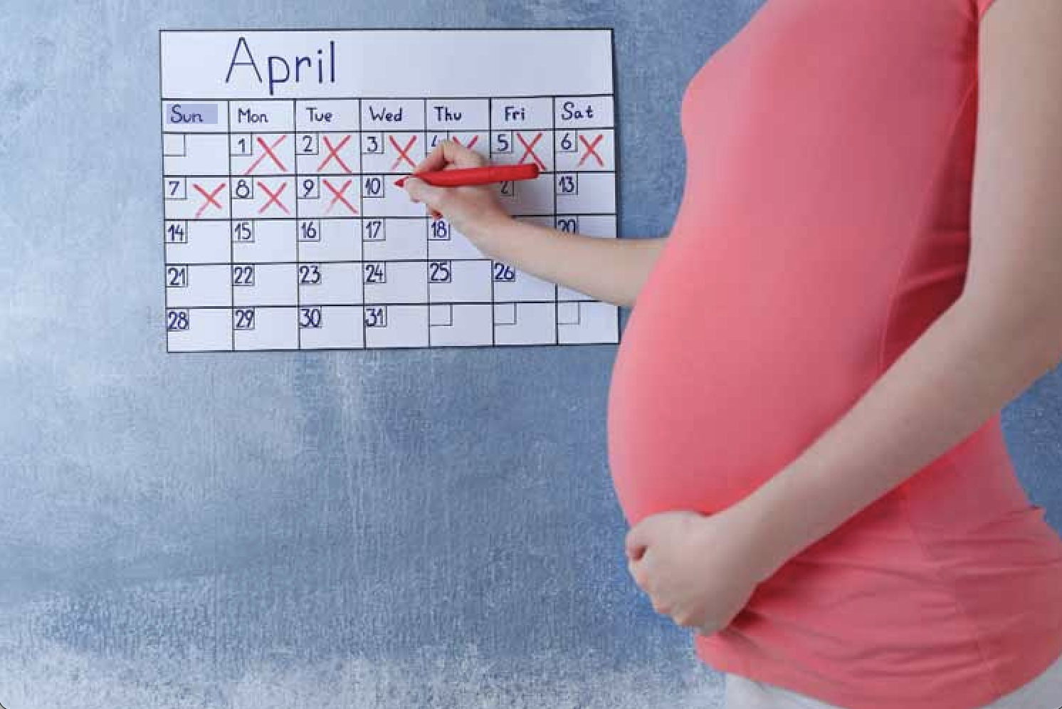 Calculadora De Embarazo Para Saber El Tiempo De Gestación 